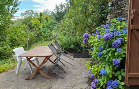 G&icirc;te n&deg;48G131170 Gabriac - Loz&egrave;re - Terrasse priv&eacute;e du g&icirc;te P&eacute;l&eacute;grine