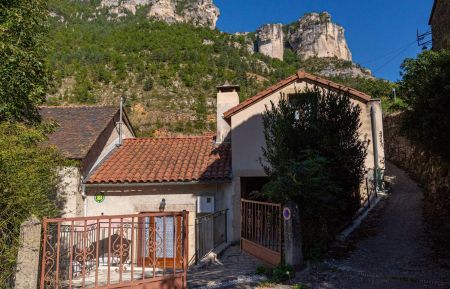 G&icirc;te n&deg;48G142660 Veyreau - Loz&egrave;re - photo