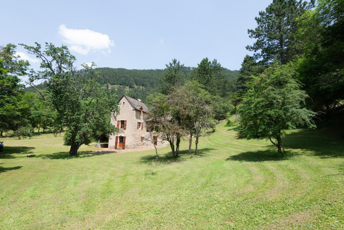 photo 0