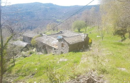 G&icirc;te n&deg;48G130410 Saint-Martin-de-Lansuscle - Loz&egrave;re - photo