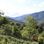 camping - Lou Mas Del Miech - SAINT-GERMAIN-DE-CALBERTE - Loz&egrave;re